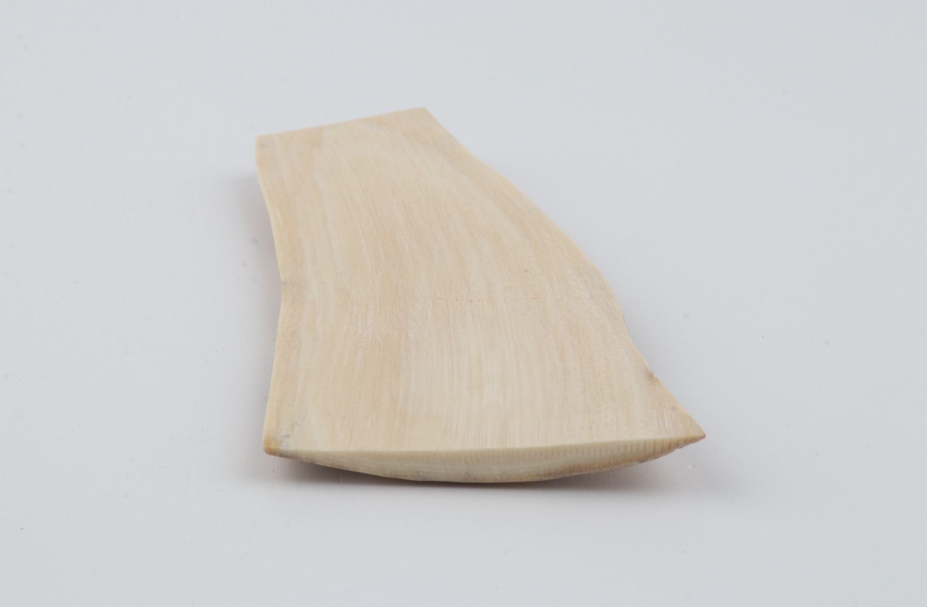 Creme mammoth bark
