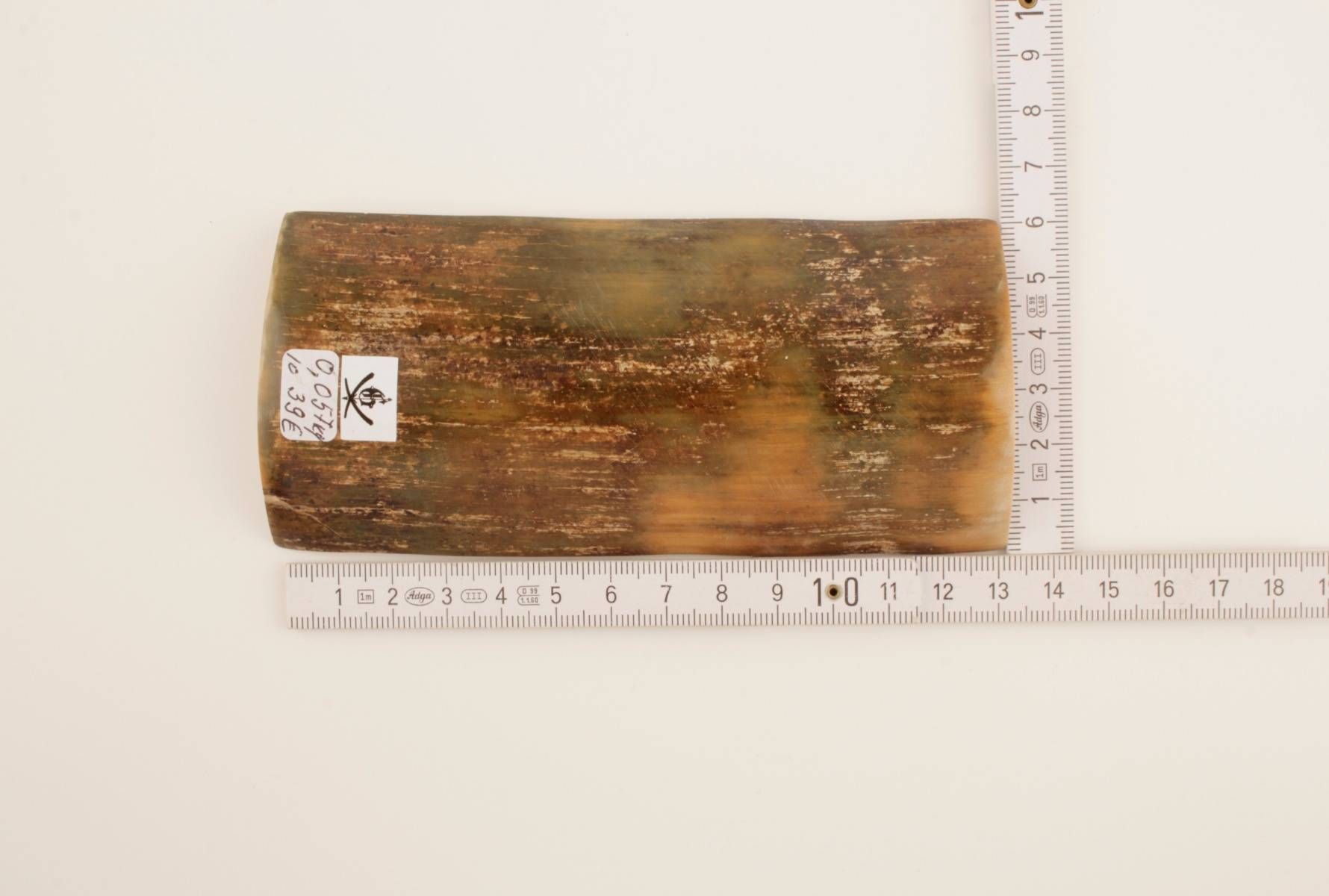 Green-brown mammoth bark