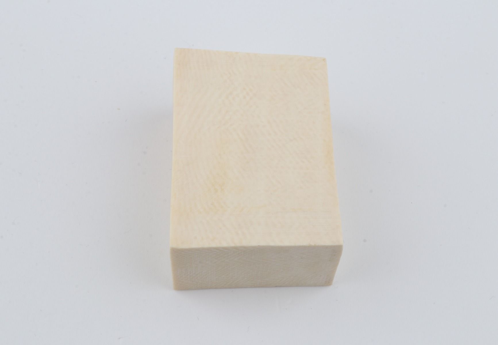 White mammoth ivory segment