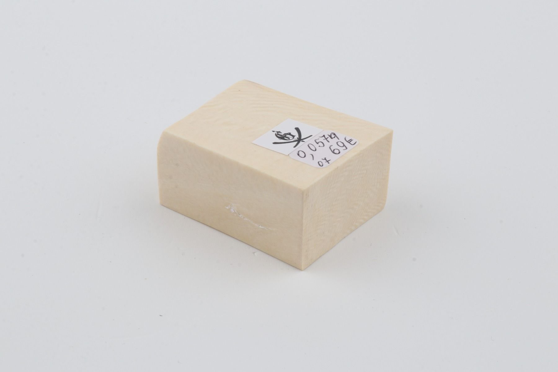 White mammoth ivory segment