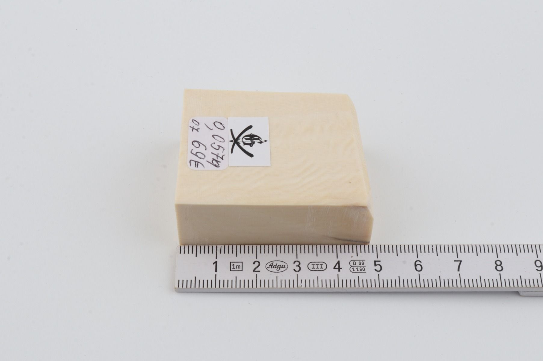 White mammoth ivory segment
