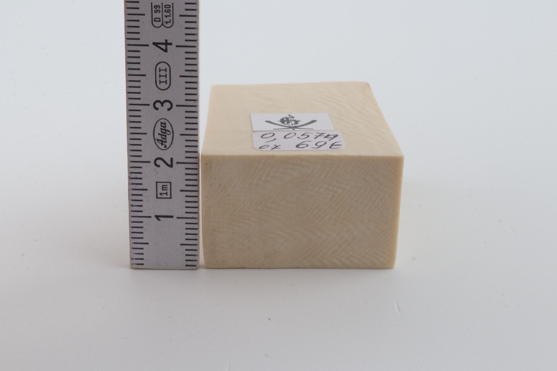 White mammoth ivory segment