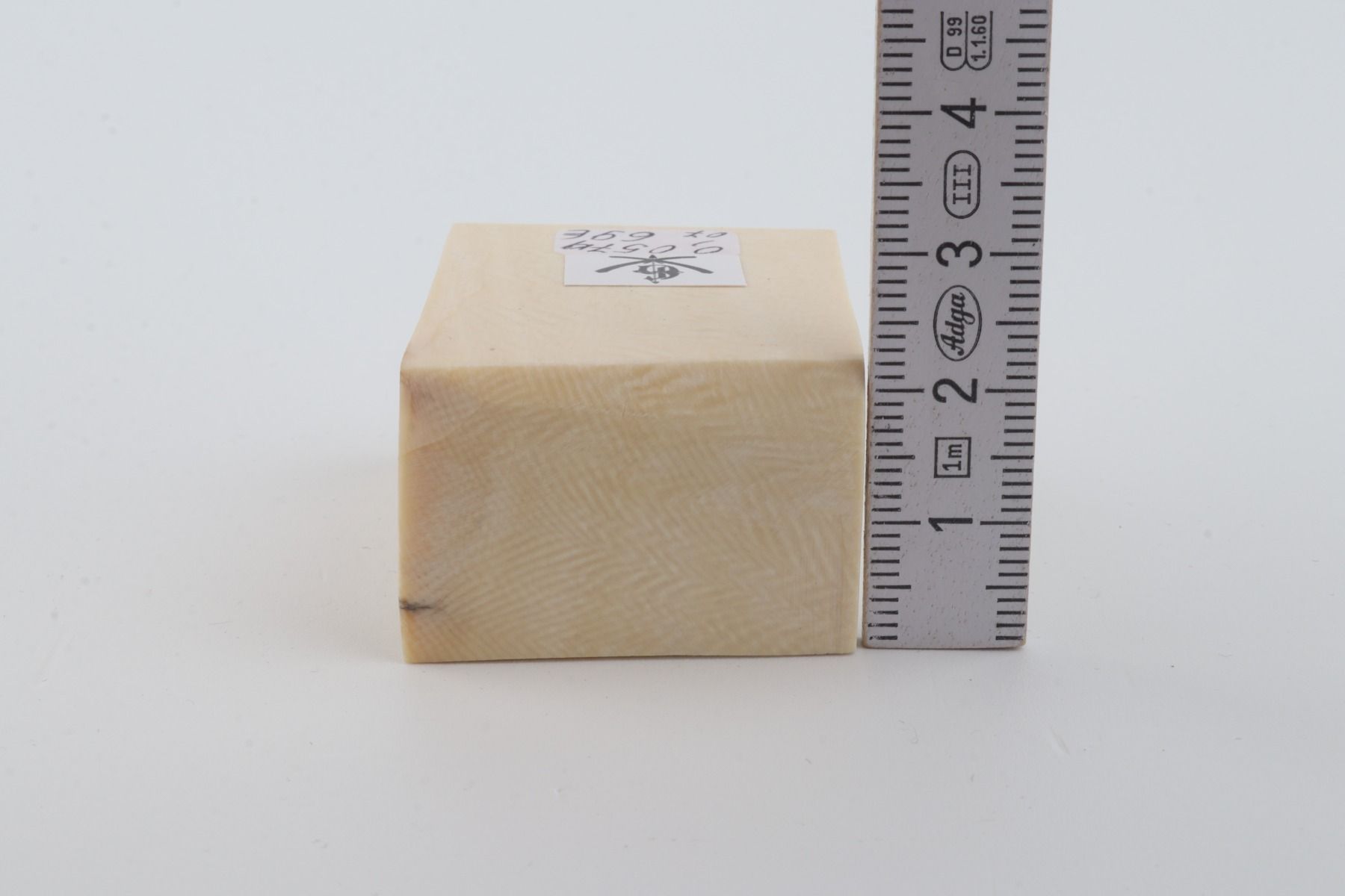 White mammoth ivory segment