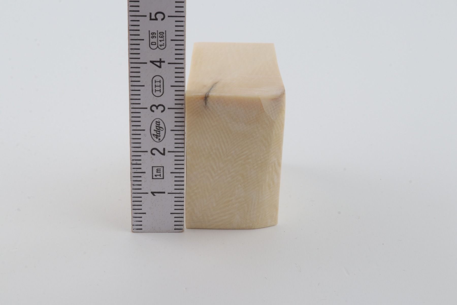 White mammoth ivory segment