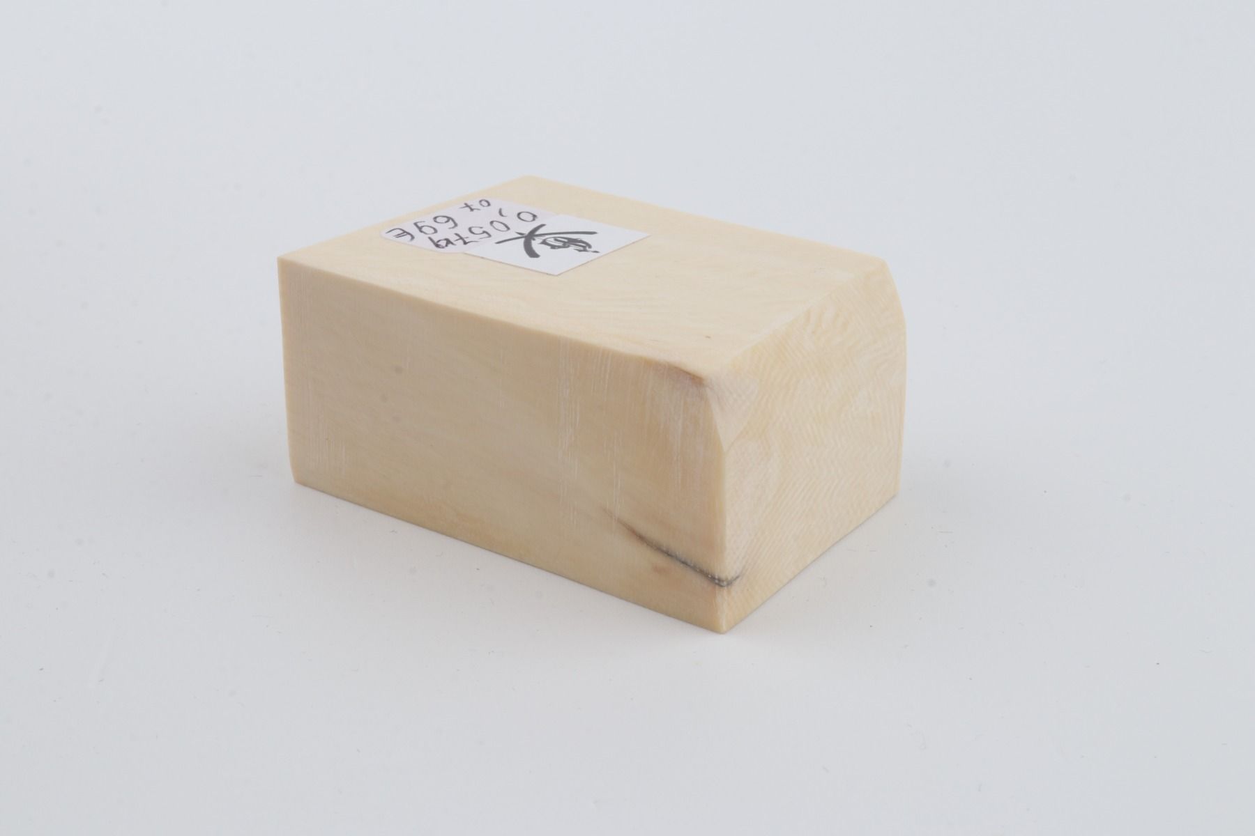 White mammoth ivory segment