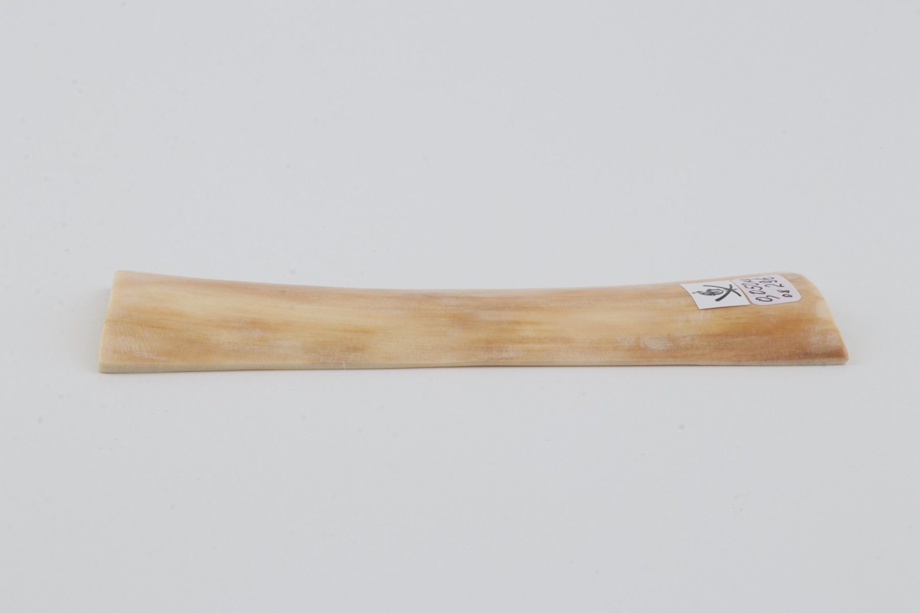 Creme mammoth bark