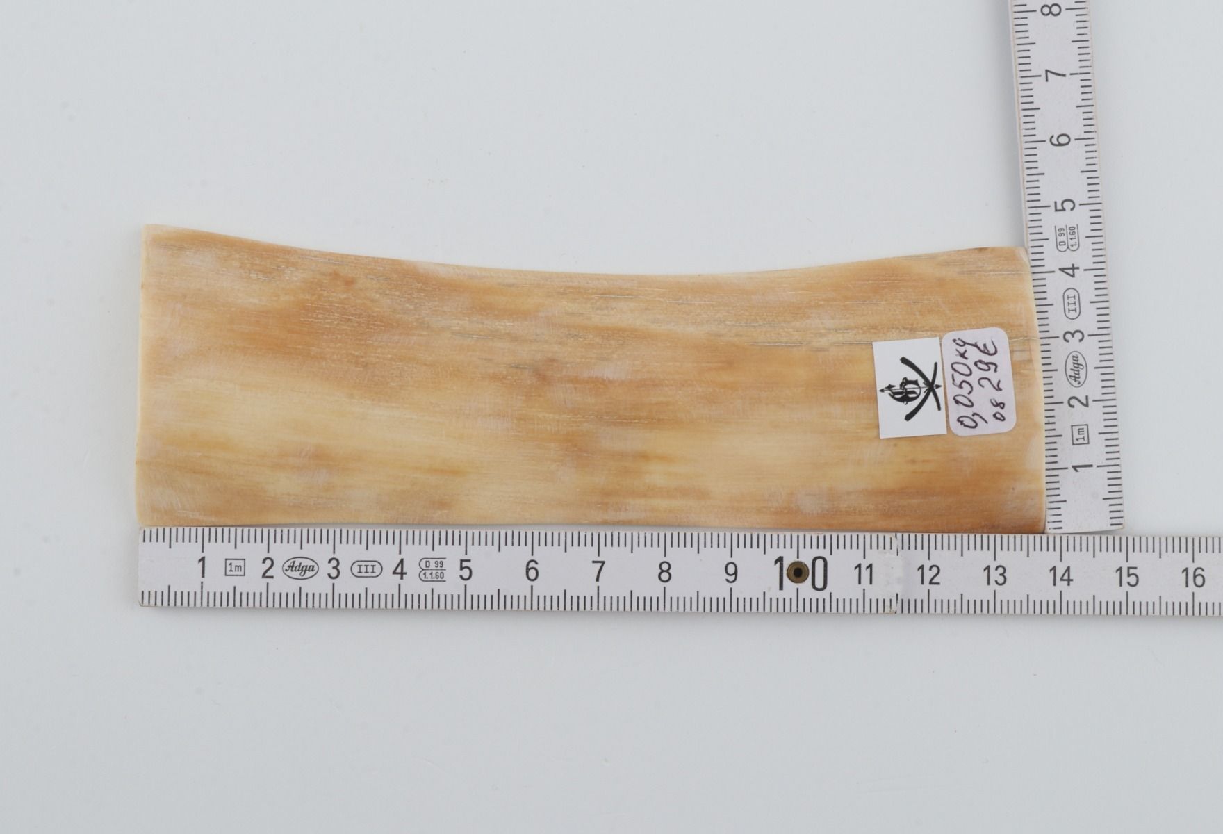 Creme mammoth bark