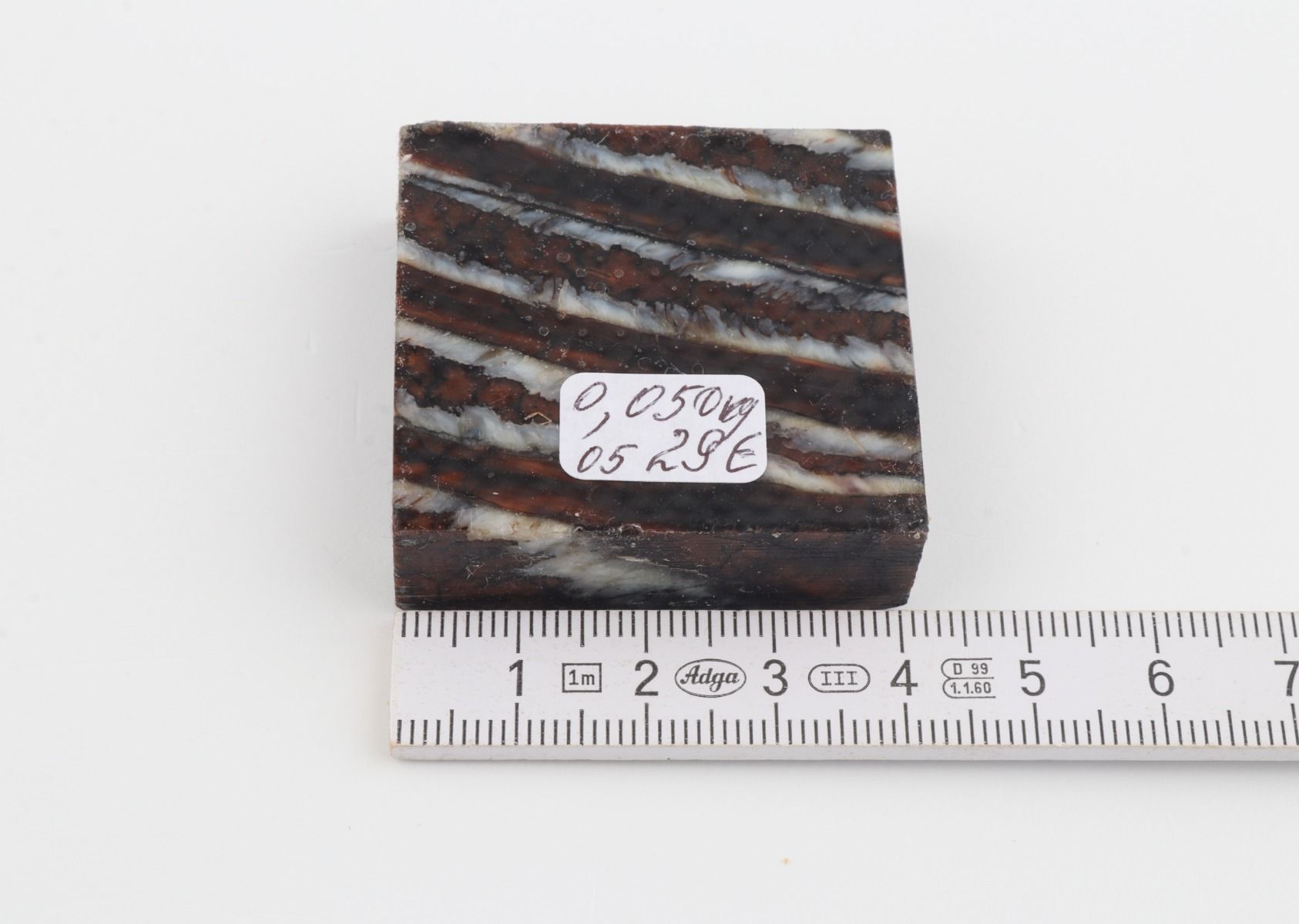 Stabilised mammoth molar piece