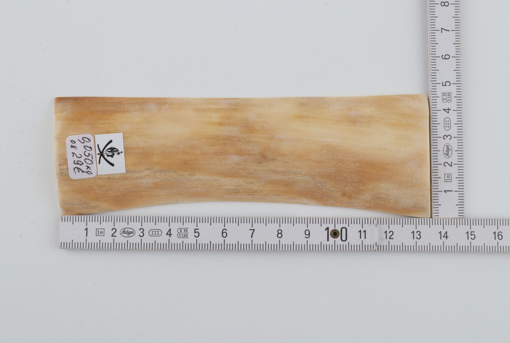 Creme mammoth bark