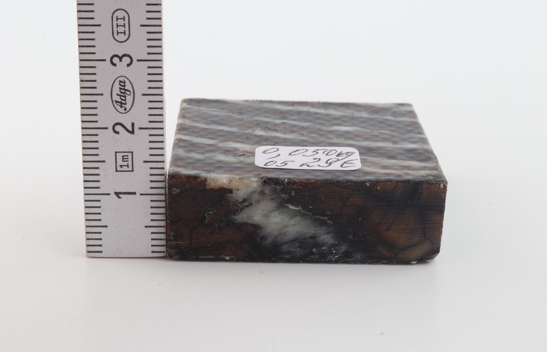 Stabilised mammoth molar piece