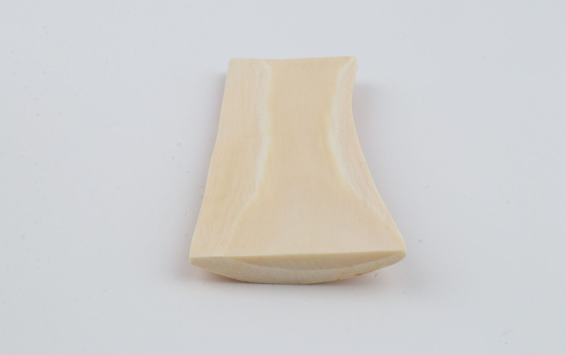 Creme mammoth bark