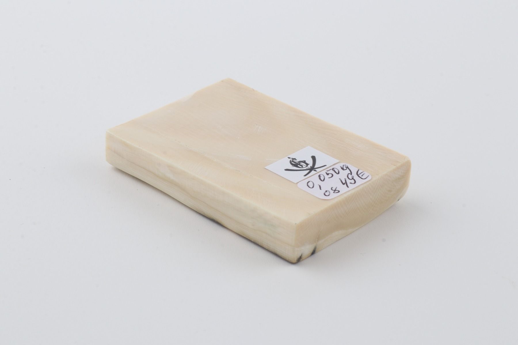 White mammoth ivory segment