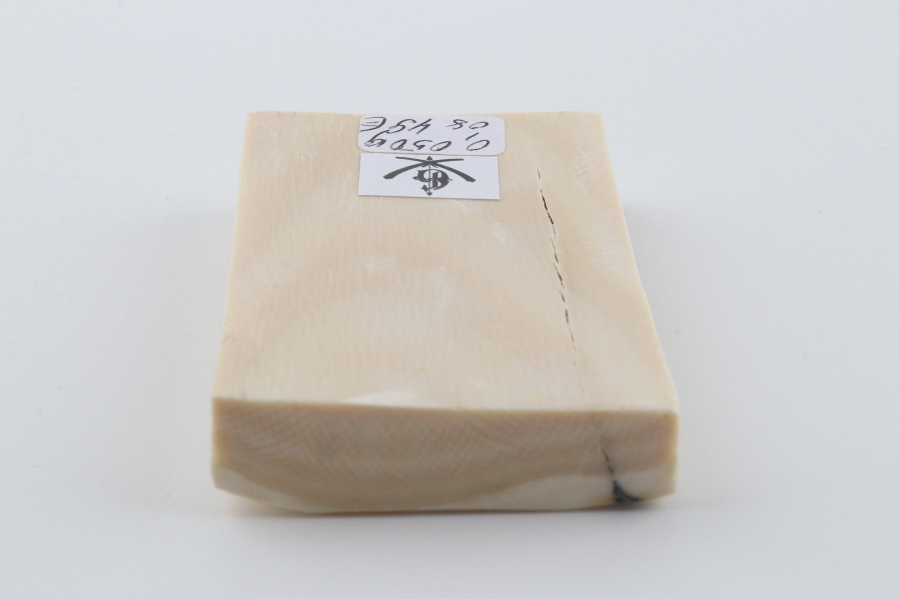 White mammoth ivory segment