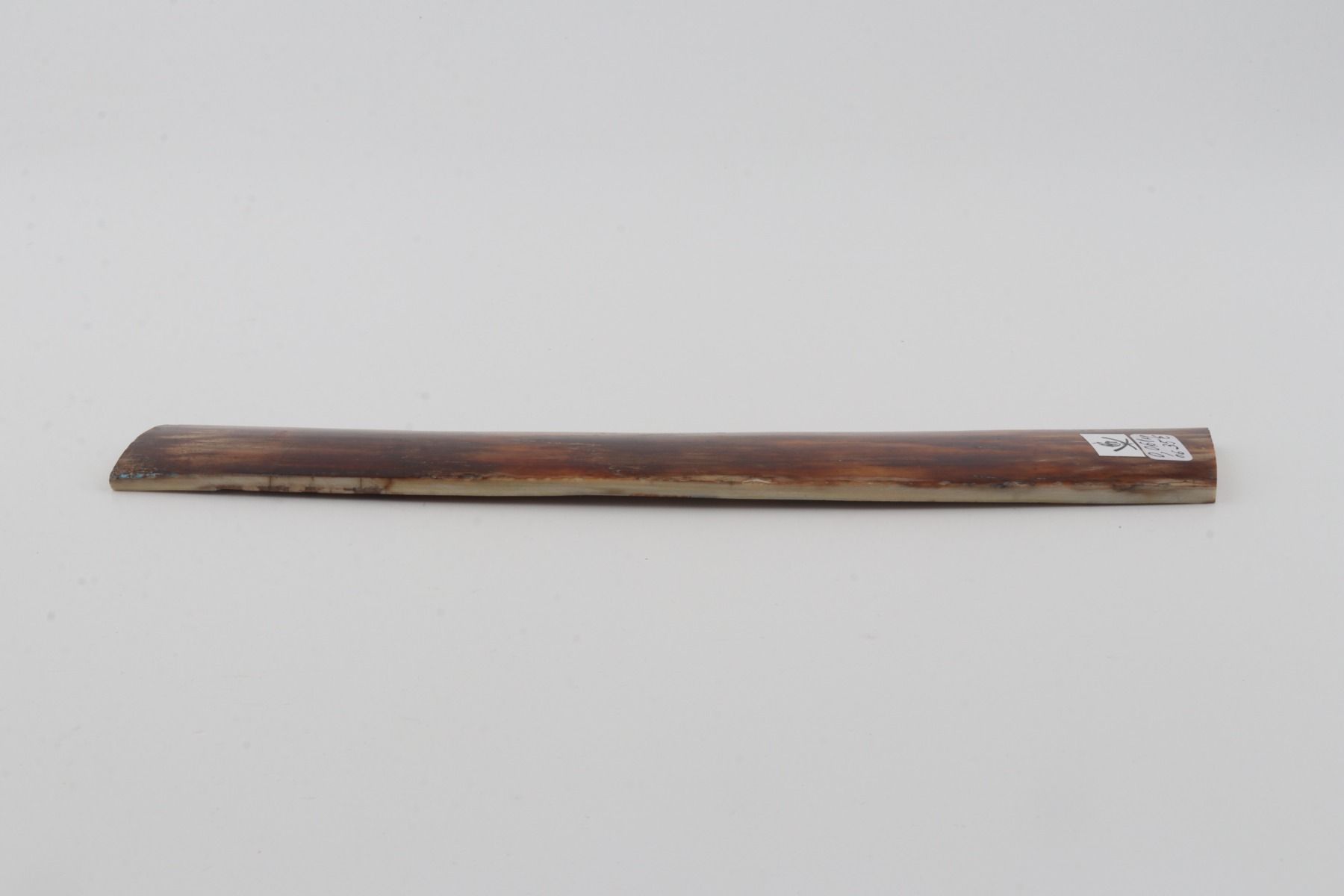 Brown mammoth bark