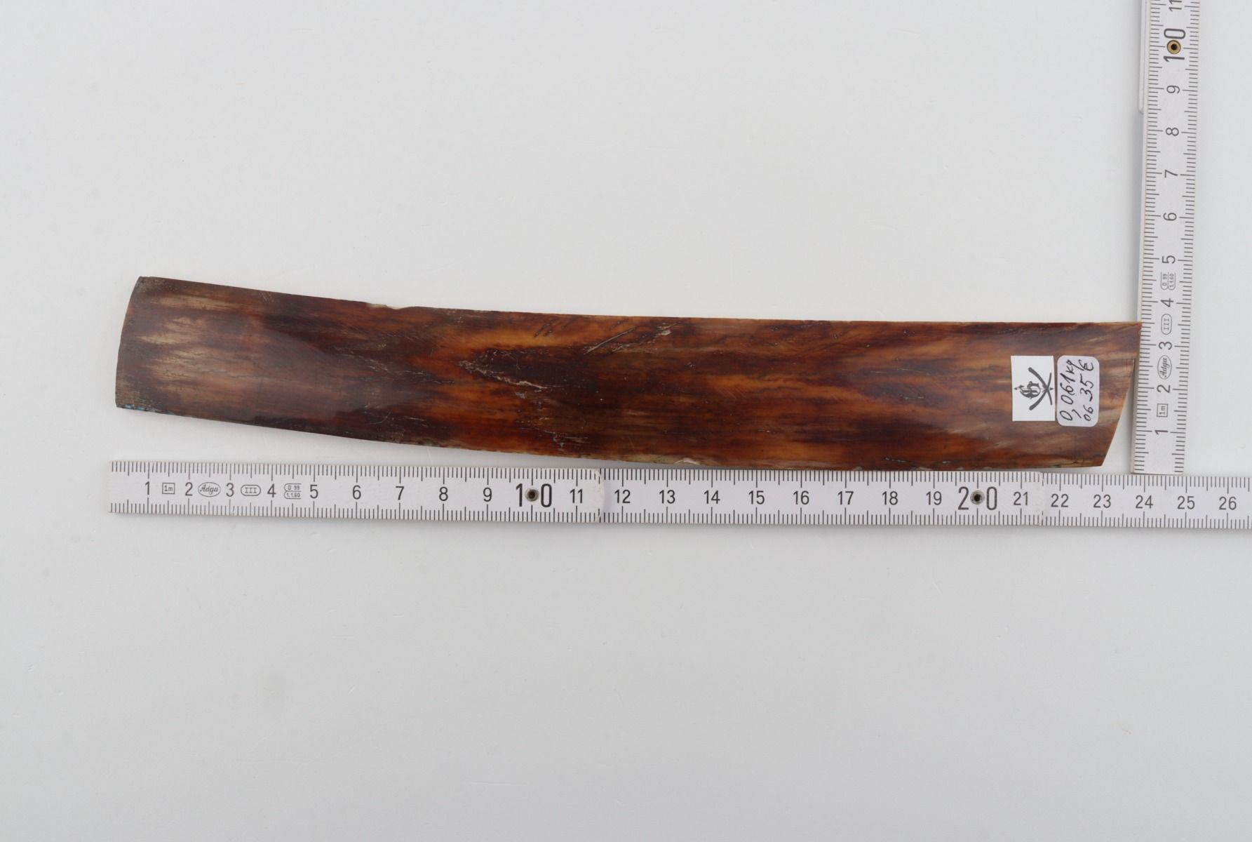 Brown mammoth bark