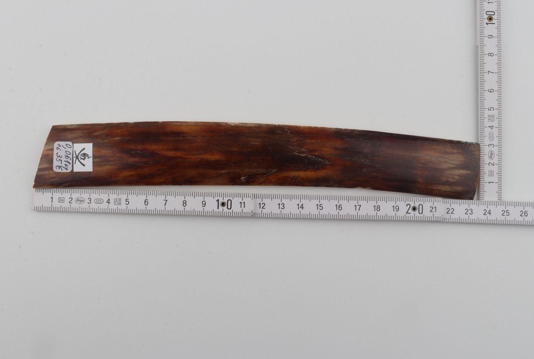 Brown mammoth bark