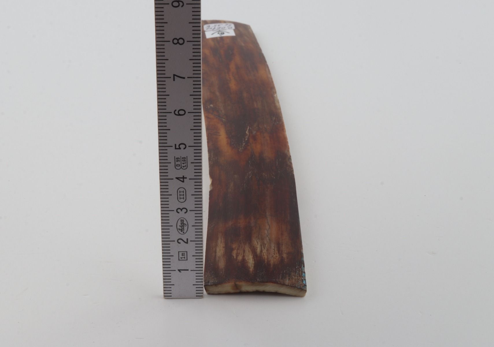 Brown mammoth bark