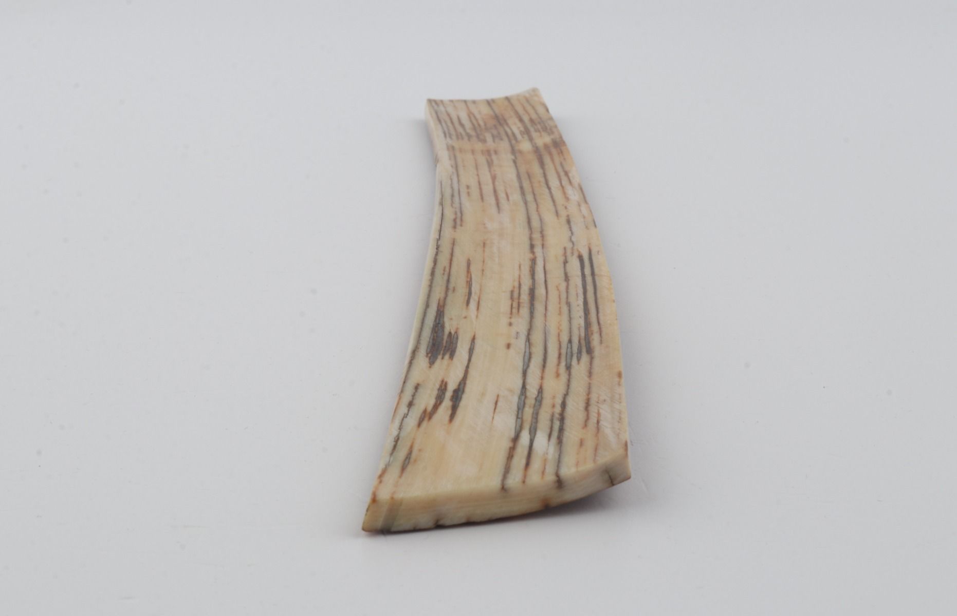 Brown mammoth bark
