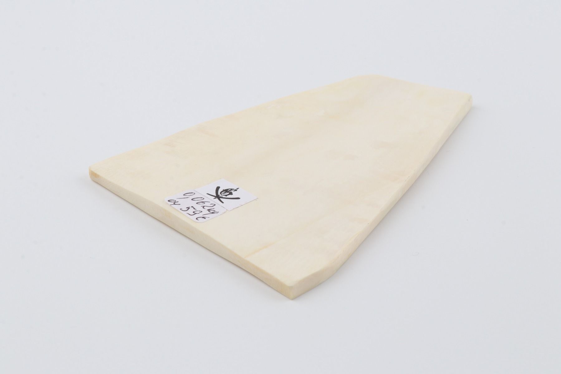 White mammoth ivory segment