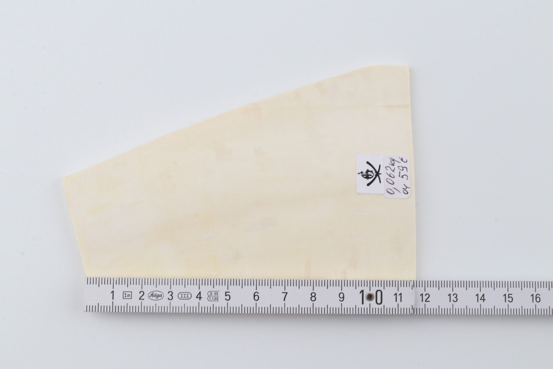 White mammoth ivory segment