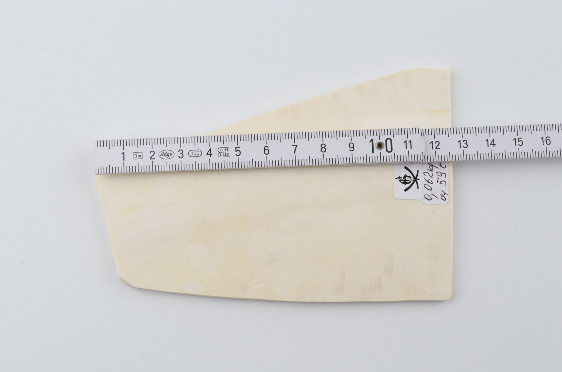 White mammoth ivory segment