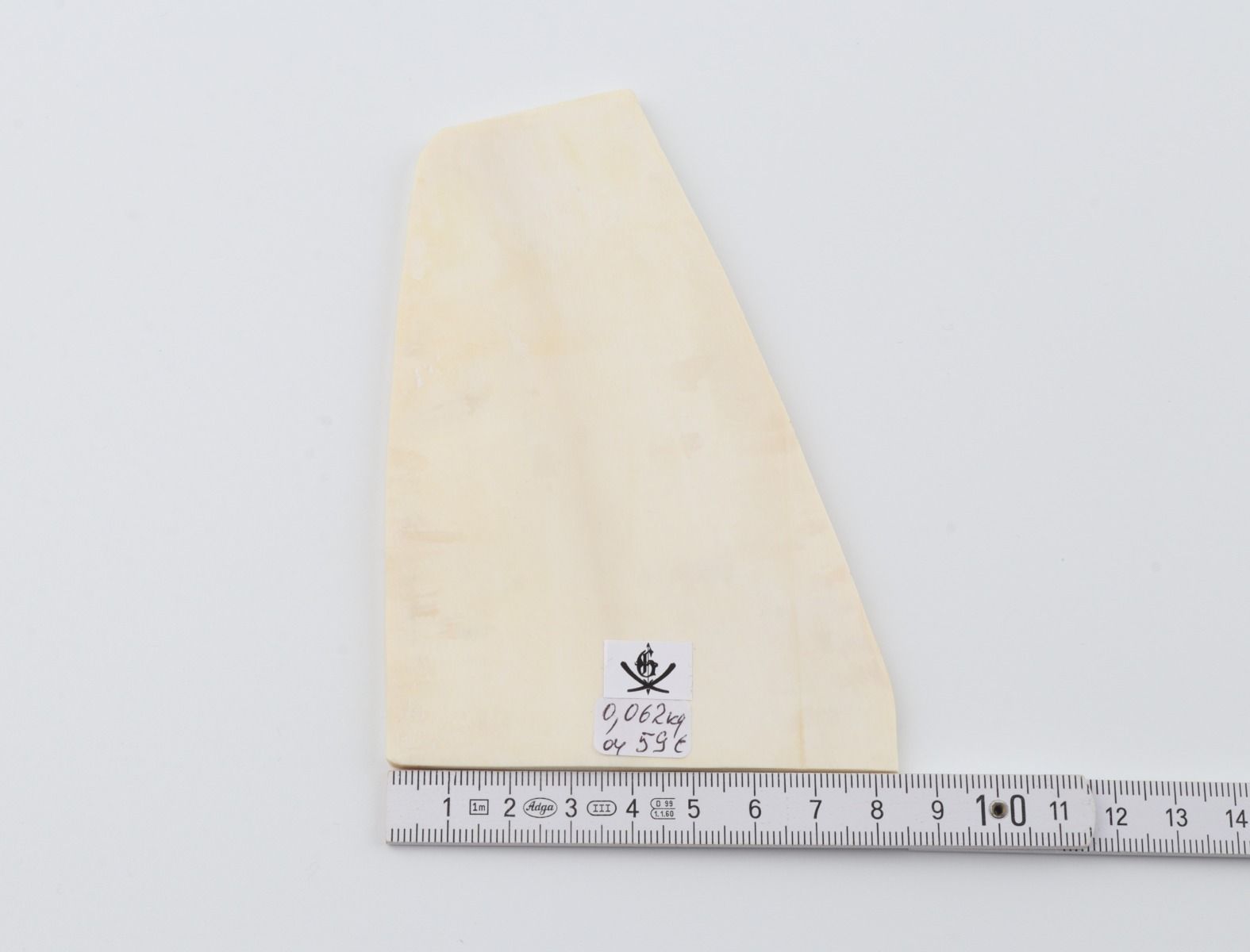 White mammoth ivory segment