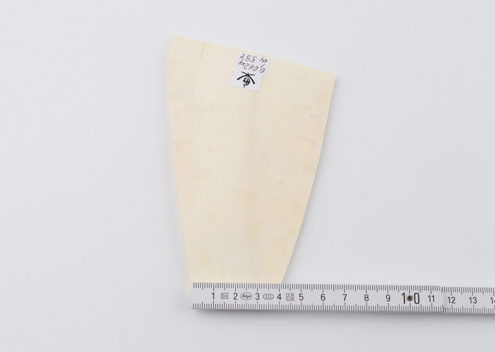 White mammoth ivory segment