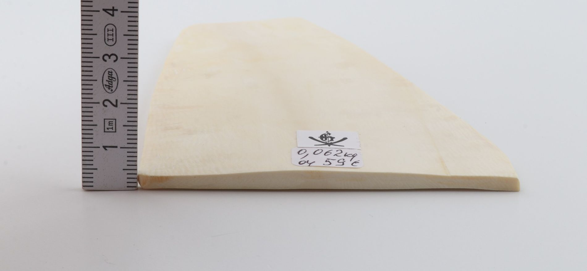 White mammoth ivory segment