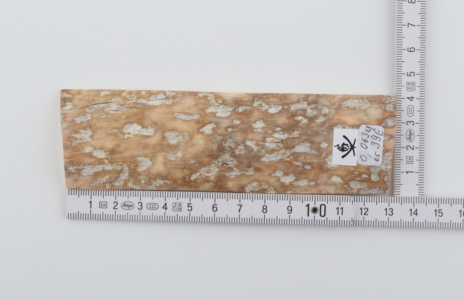 Beige mammoth bark
