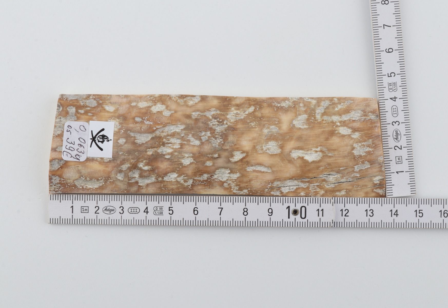 Beige mammoth bark