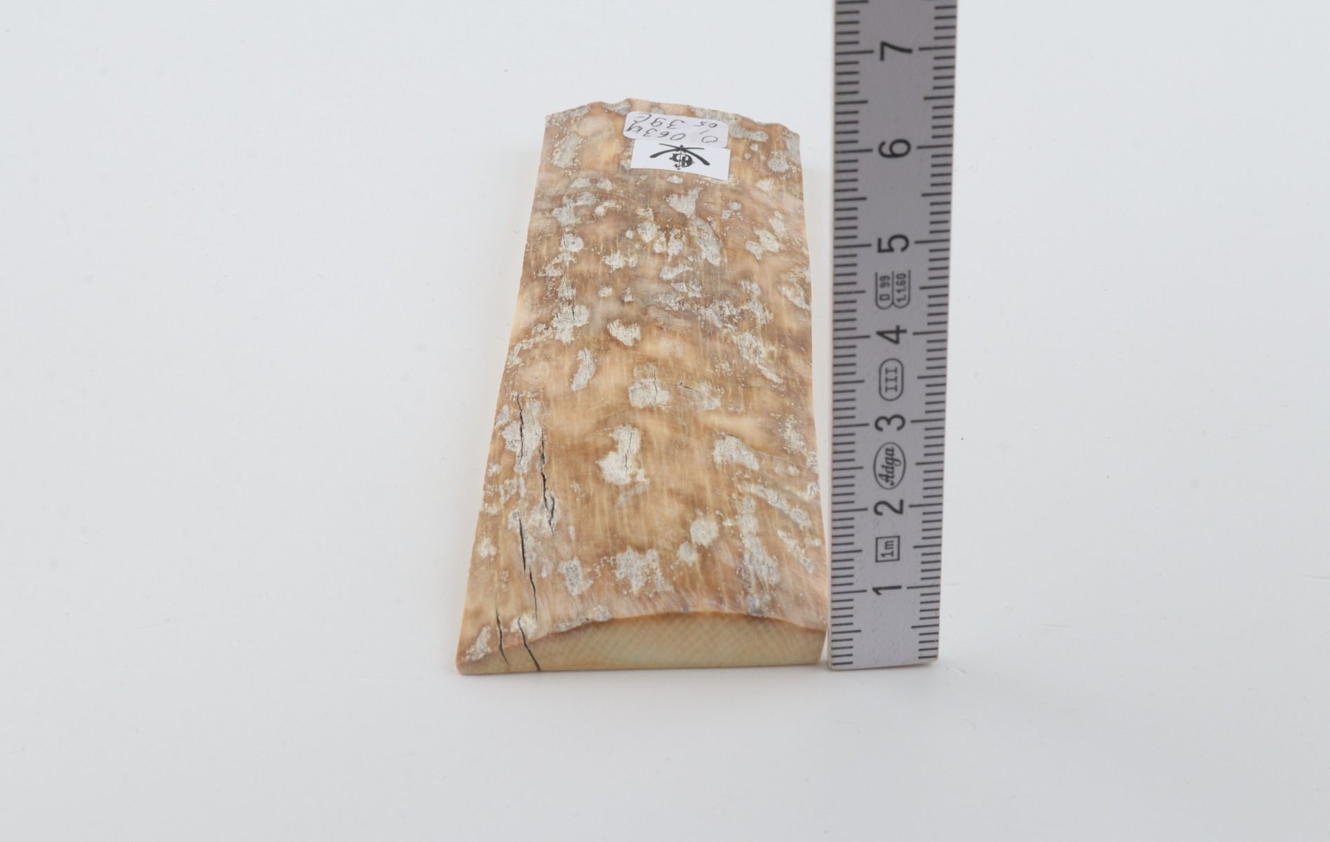Beige mammoth bark