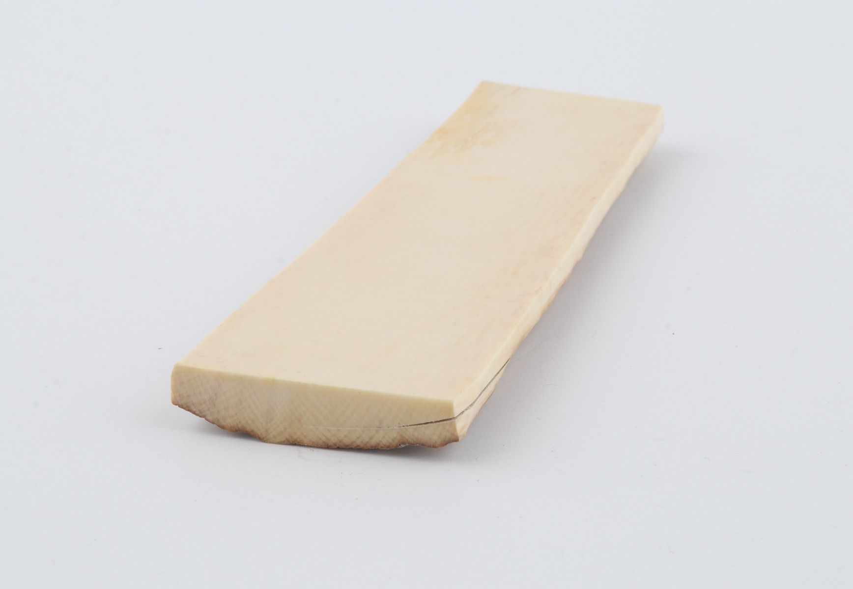 Beige mammoth bark