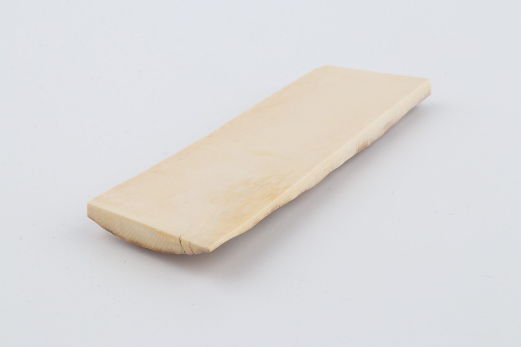 Beige mammoth bark