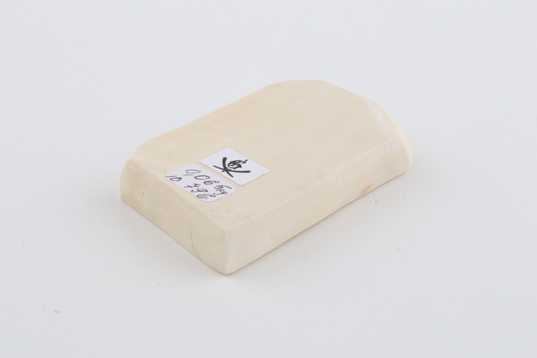 White mammoth ivory segment