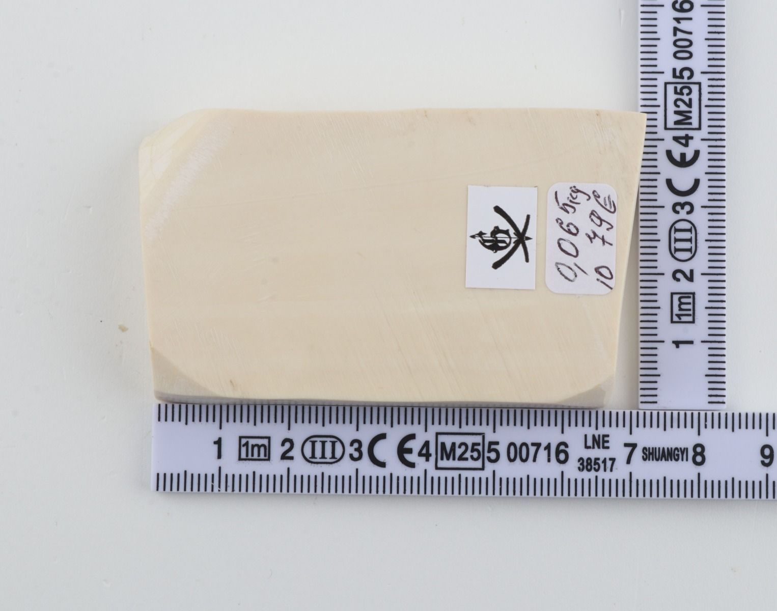 White mammoth ivory segment