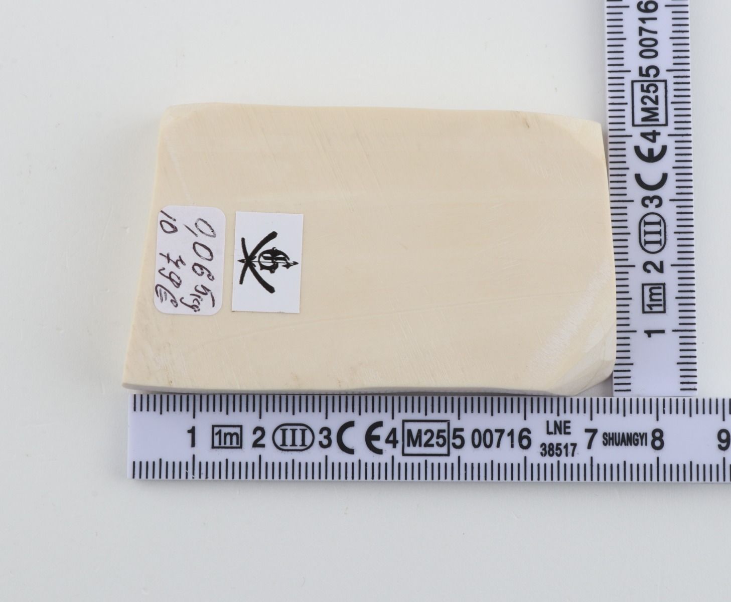 White mammoth ivory segment