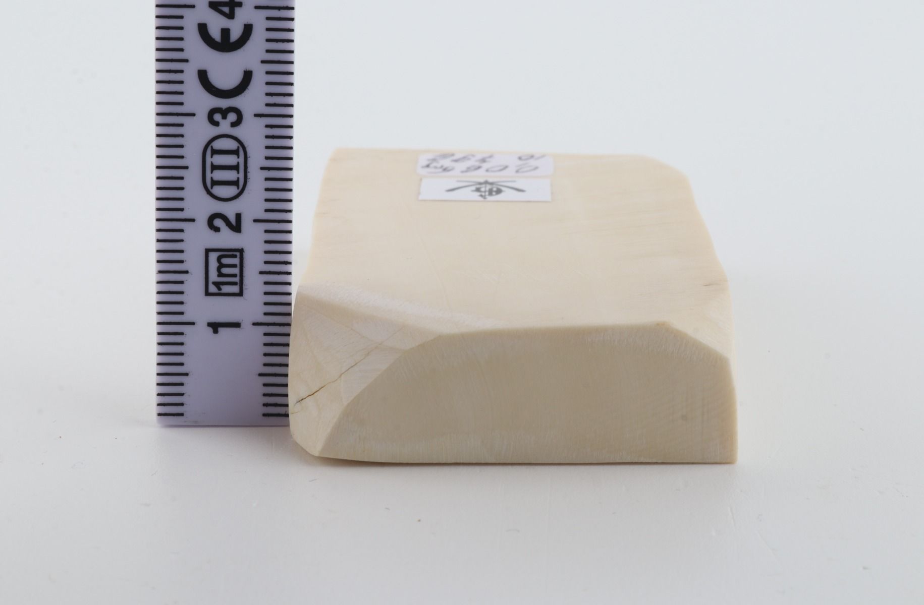 White mammoth ivory segment