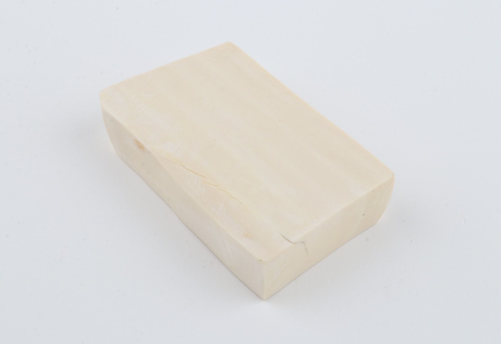 White mammoth ivory segment
