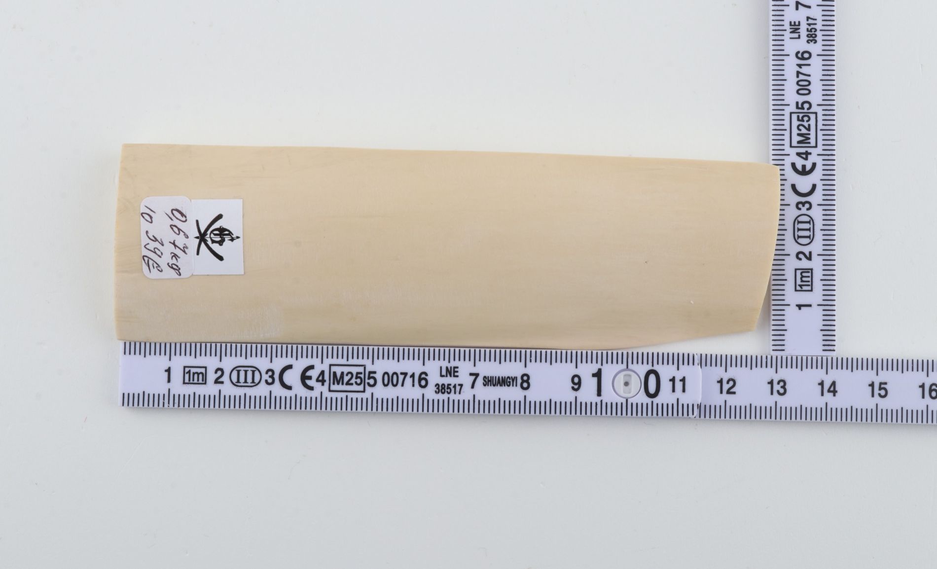White mammoth ivory piece