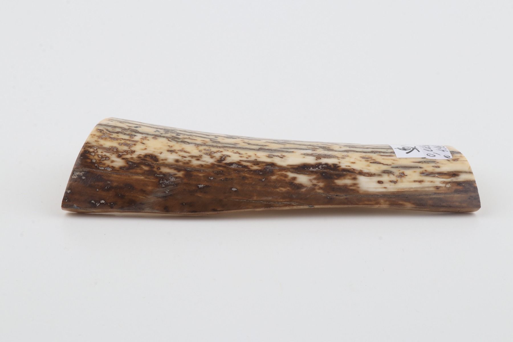 Natural mammoth bark