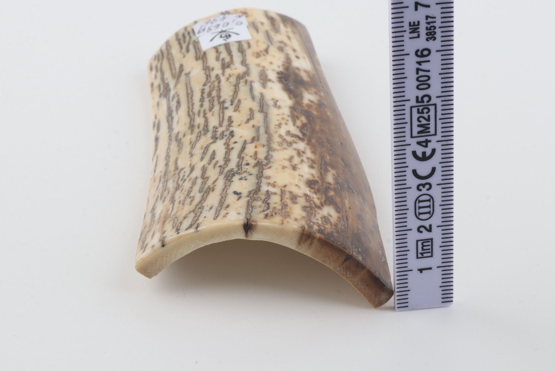Natural mammoth bark