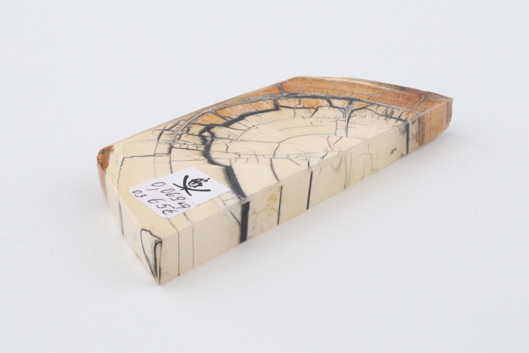 Stabilised mammoth ivory piece