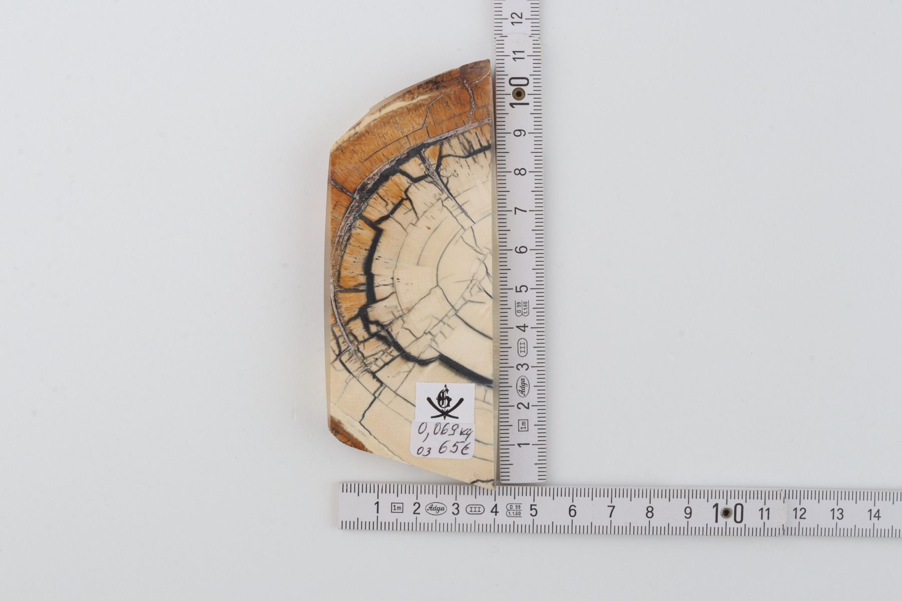 Stabilised mammoth ivory piece
