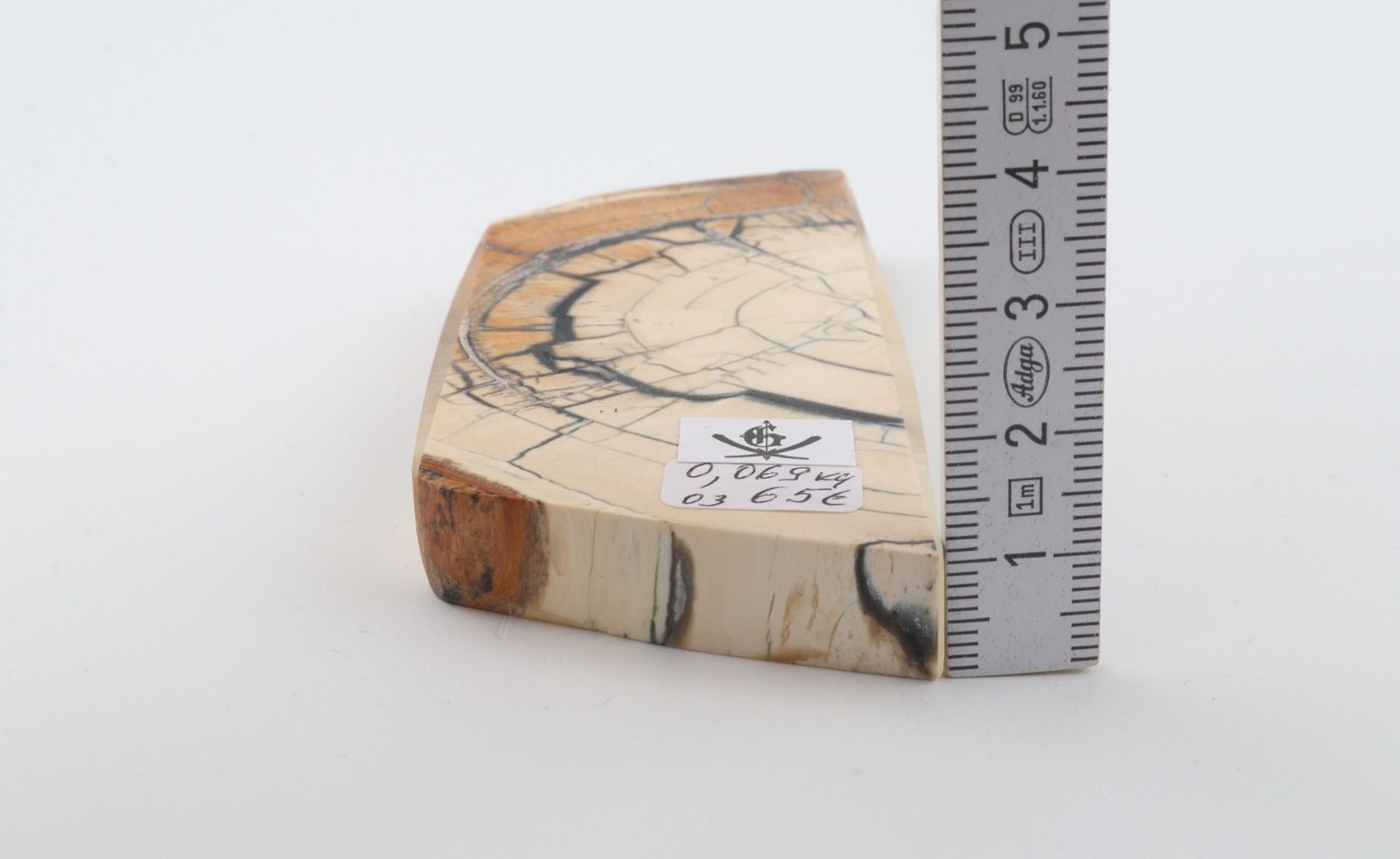 Stabilised mammoth ivory piece