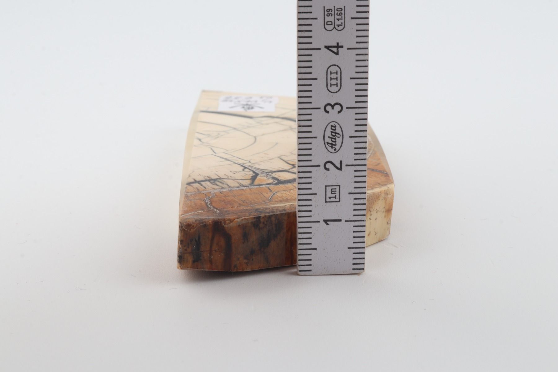 Stabilised mammoth ivory piece
