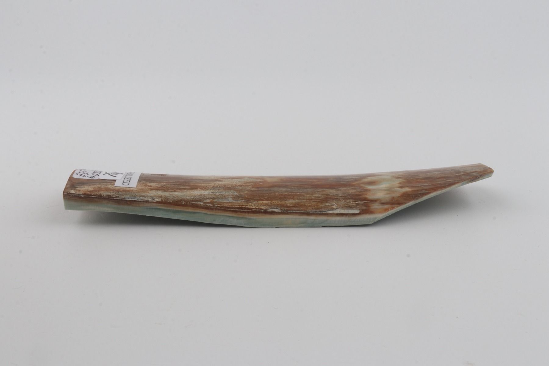 Stabilised mammoth bark 