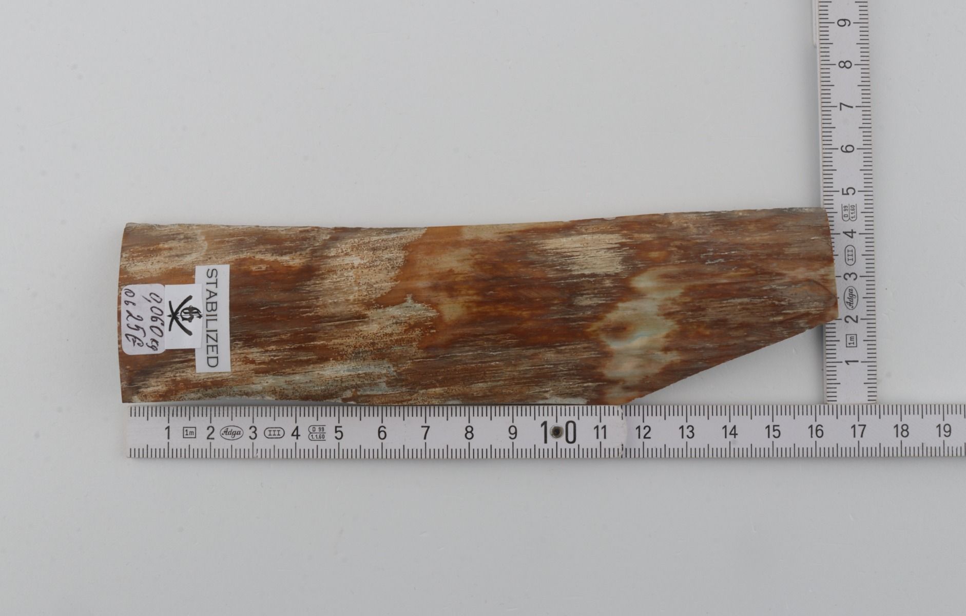 Stabilised mammoth bark 