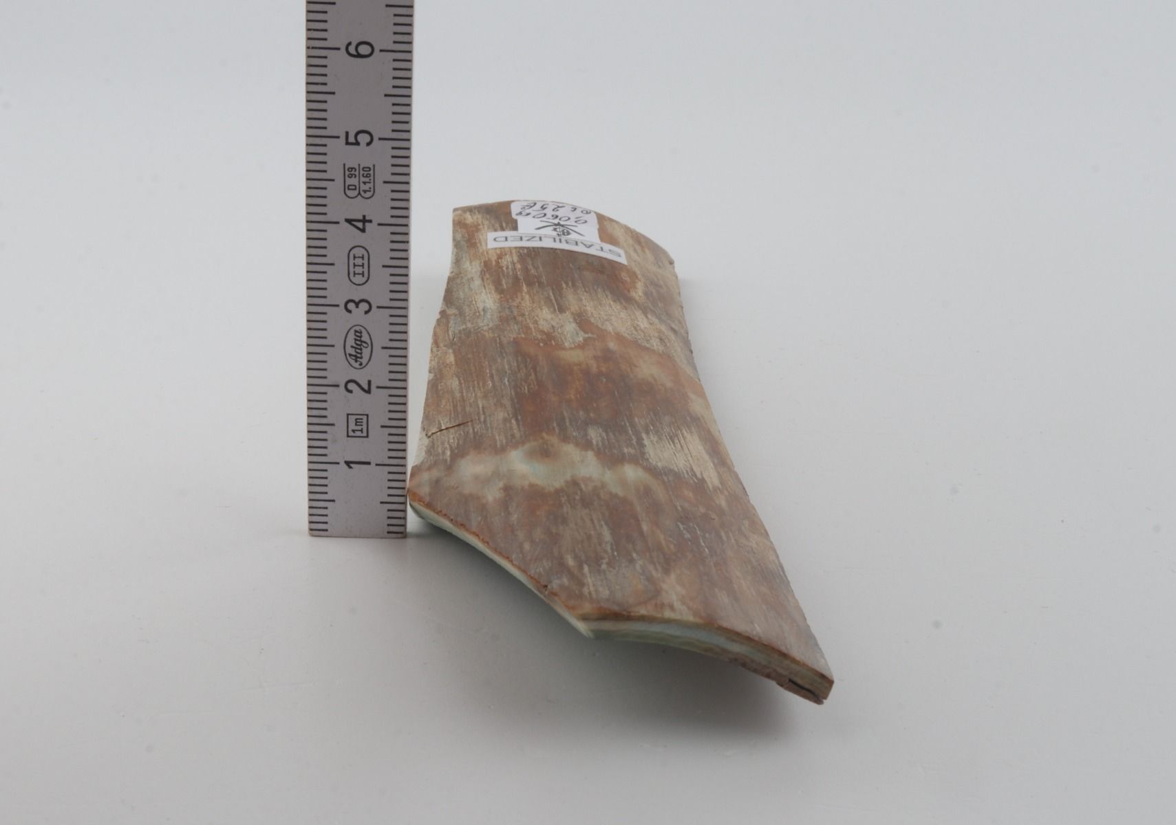 Stabilised mammoth bark 
