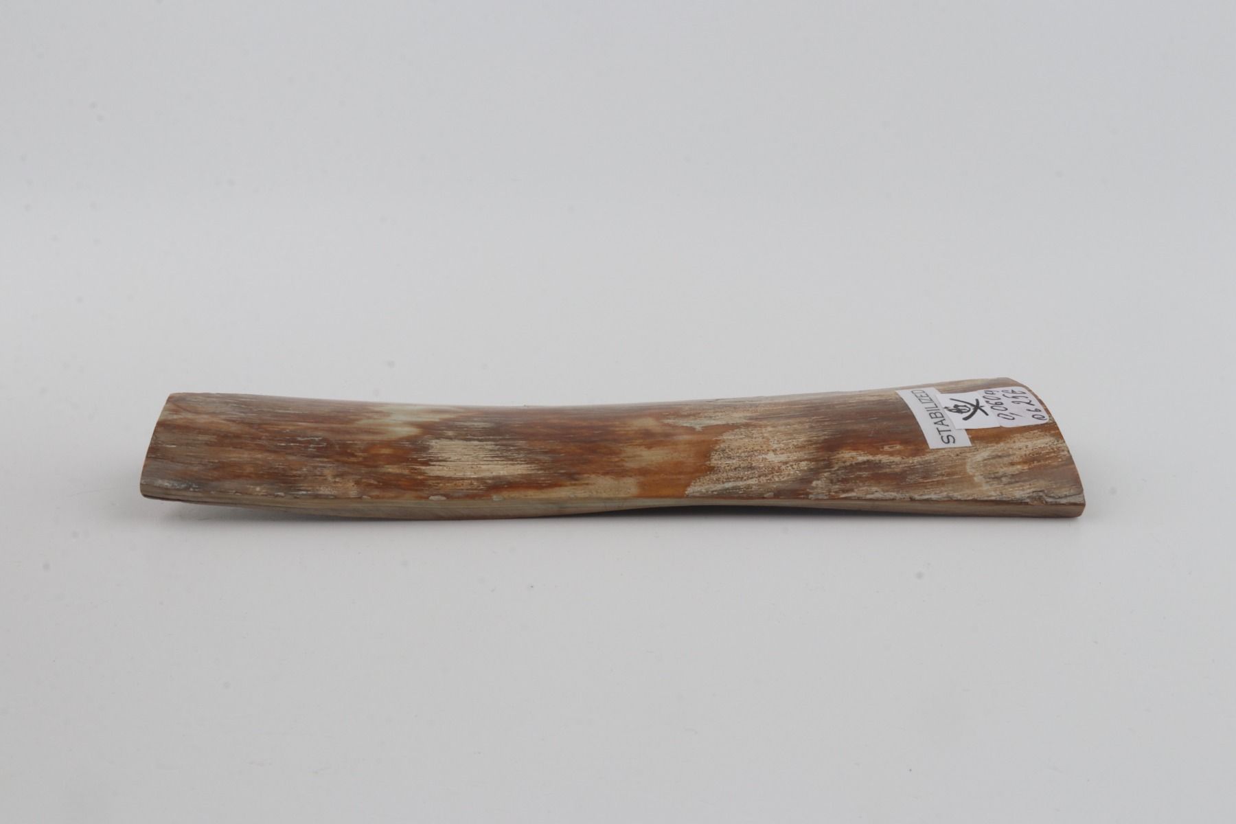 Stabilised mammoth bark 