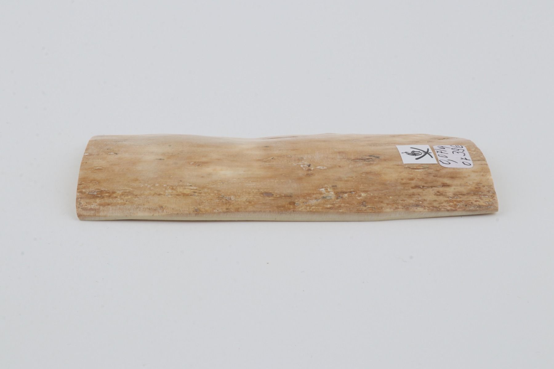 Creme mammoth bark